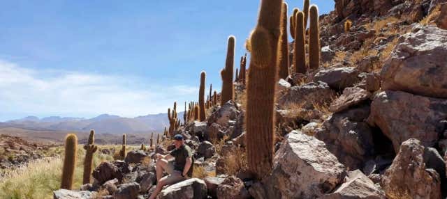 Acción y naturaleza