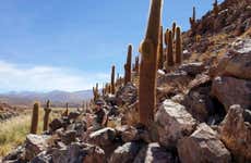 Trilha por Purilibre