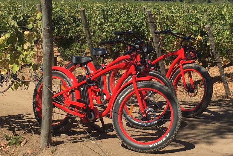Bicicletas listas para recorrer los viñedos