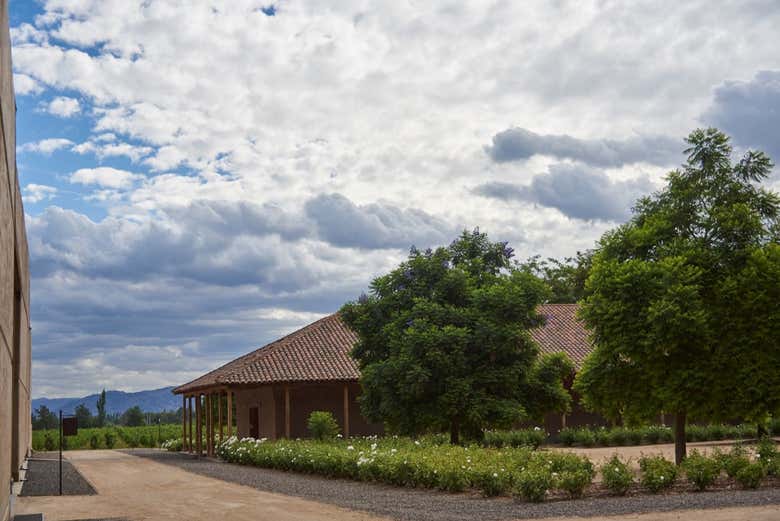 Bodega del valle de Apalta