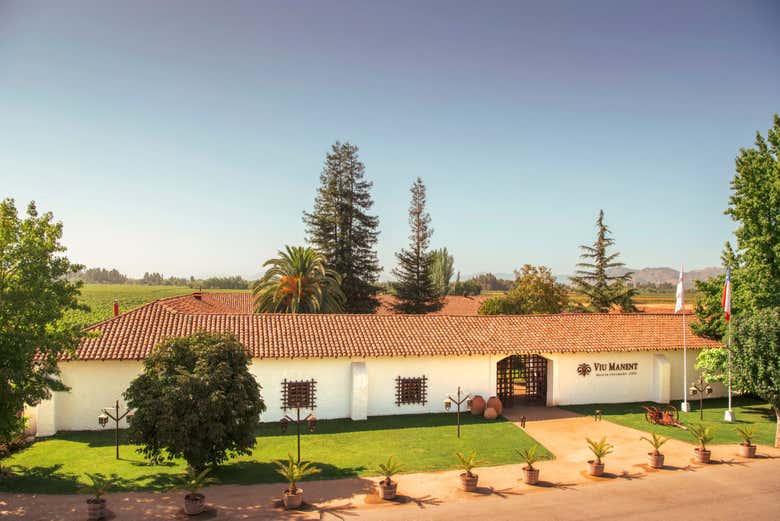 Adega Viña Viu Manent