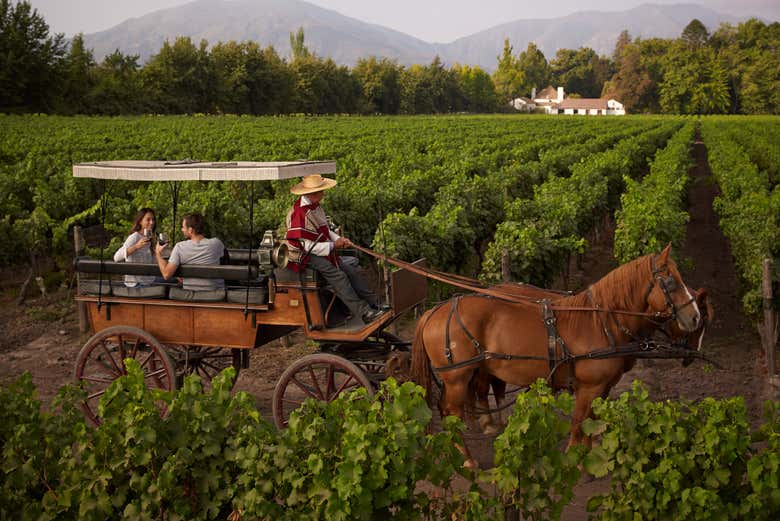 Desfrutando do passeio de carruagem