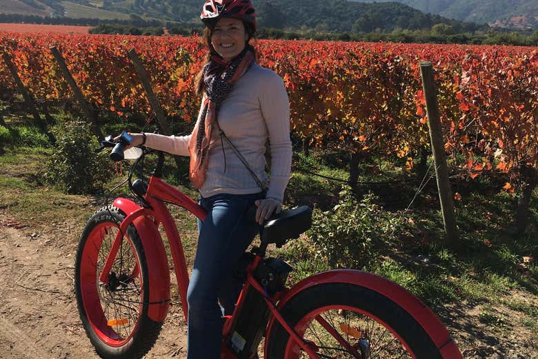 Passeando pelos vinhedos de bicicleta elétrica