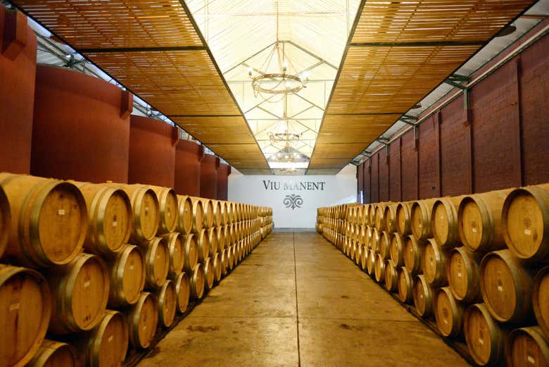 Interior da adega Viña Viu Manent
