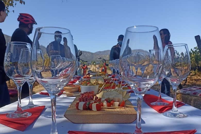 Mesa preparada para el pícnic