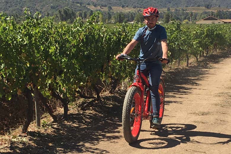 Disfrutando del tour en bicicleta eléctrica