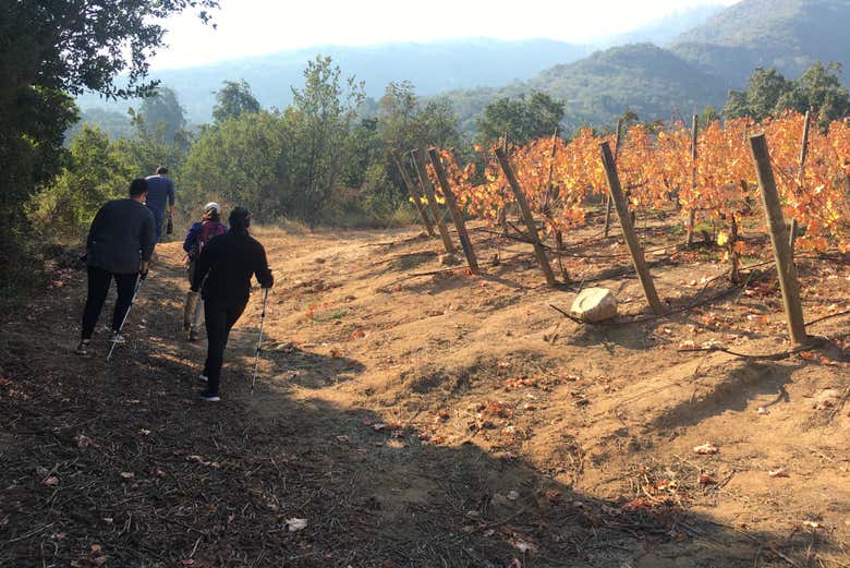 Atravesaremos unos bellos paisajes