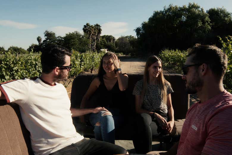 Recorriendo los viñedos del valle de Apalta