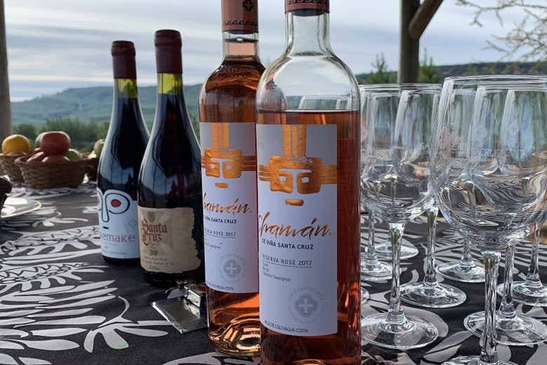 Vinos de Viña Santa Cruz