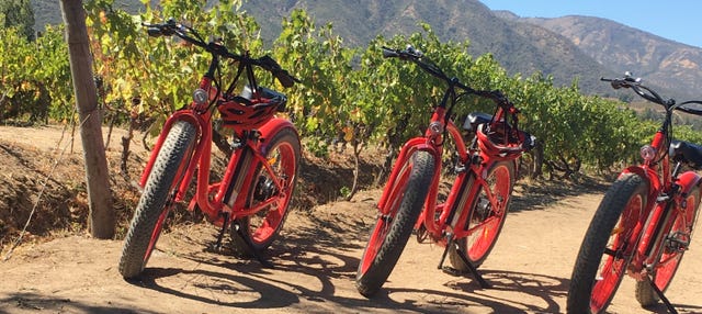Tour de bicicleta elétrica pelos vinhedos do vale de Apalta