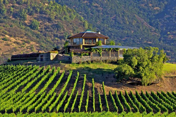 Visit to the Viña Santa Cruz Winery