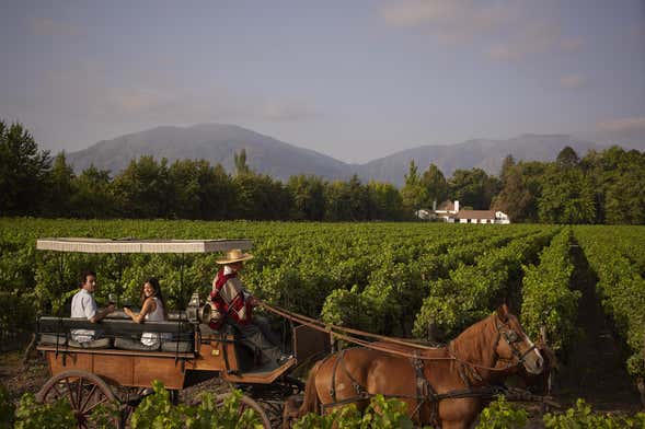 Viña Viu Manent Winery Visit