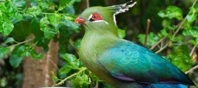 Excursión al Parque Tricao y Viña Undurraga