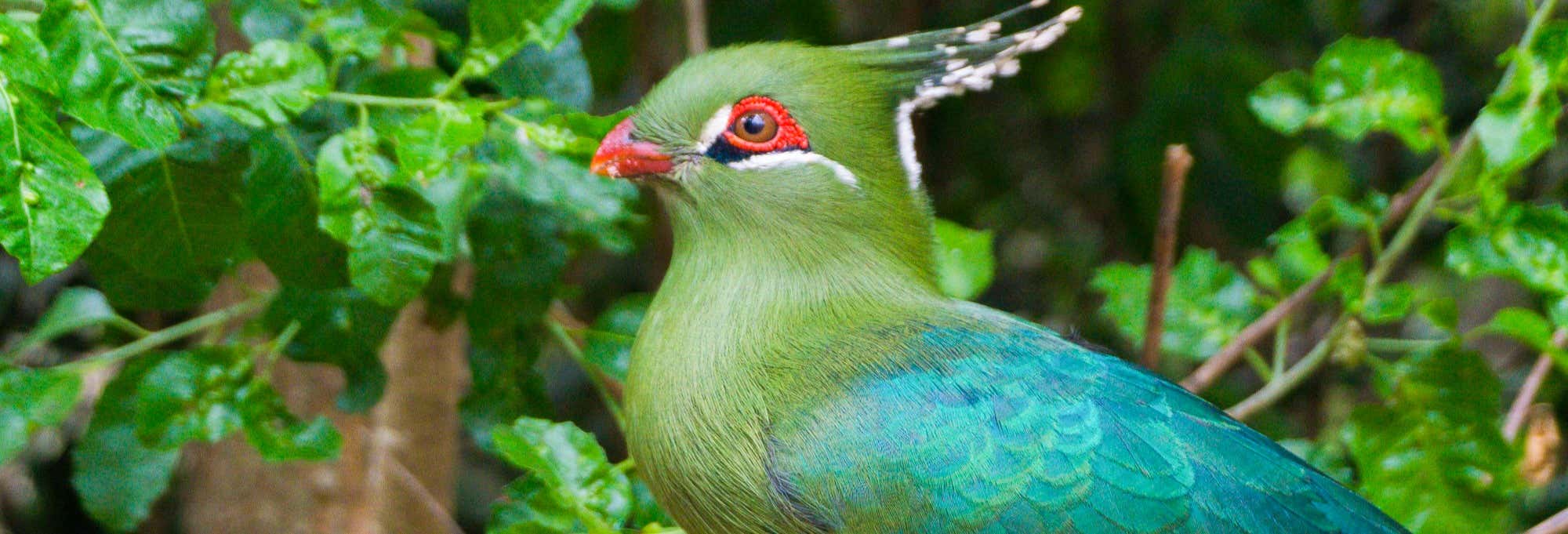 Excursões de um dia em Santiago