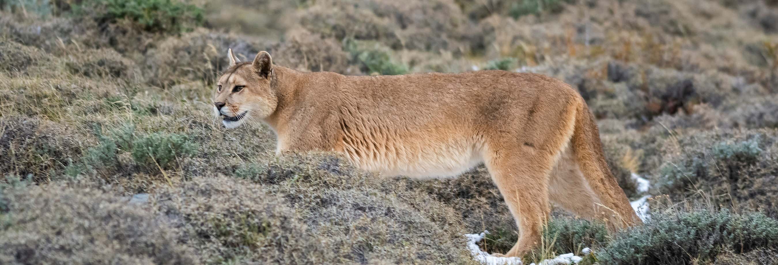 Excursiones de un día en Santiago de Chile