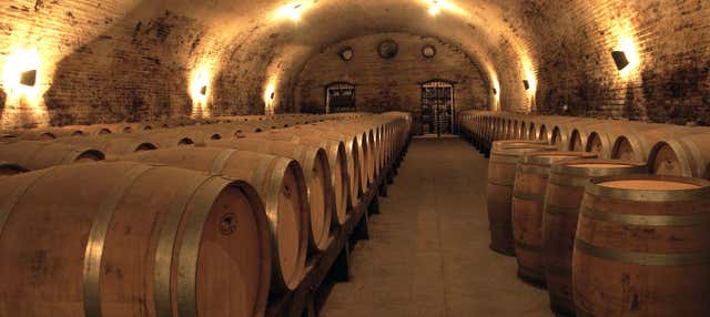 Food & Wine Tours in Santiago de Chile