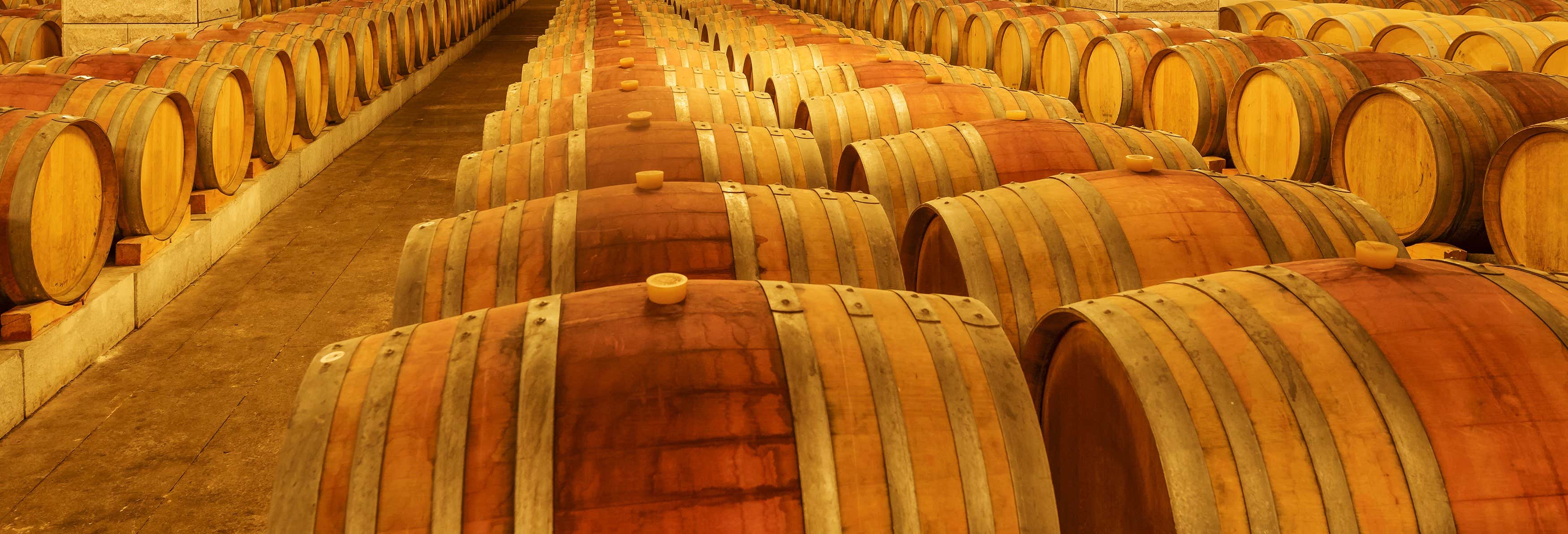 Gastronomia e enoturismo em Santiago