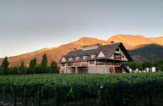 Excursión al viñedo Alyan al atardecer