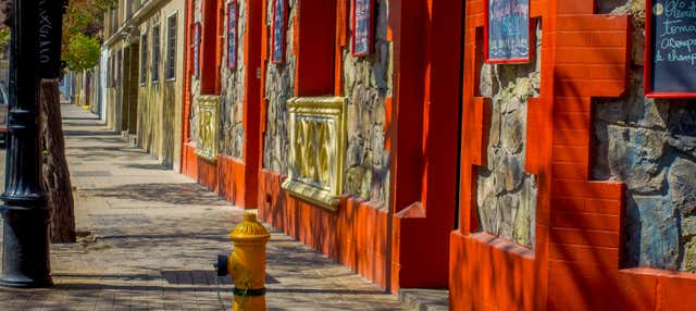 Free tour dans le quartier Yungay