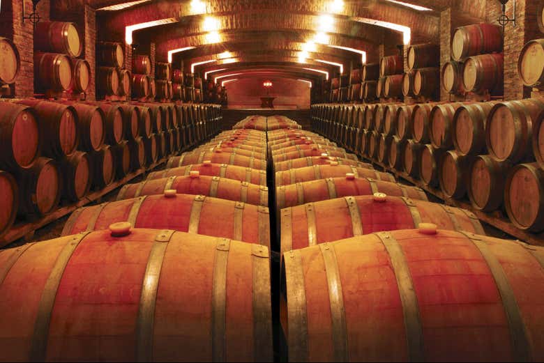 Barricas da vinícola Undurraga