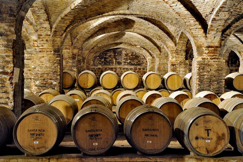 Barris da adega Santa Rita