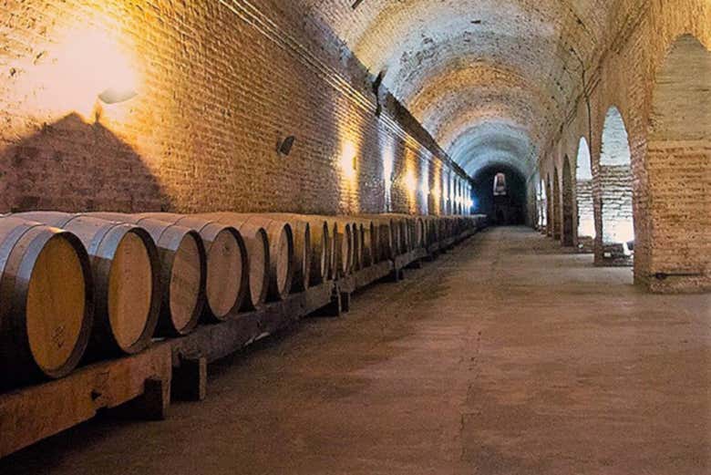Visitando las bodegas