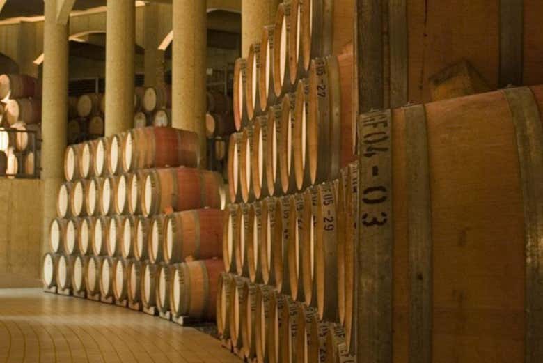 Barriles en la bodega de Haras de Pirque