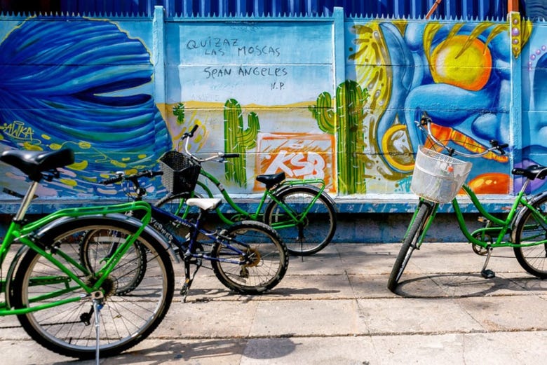 Admire Santiago's street art on the bike tour