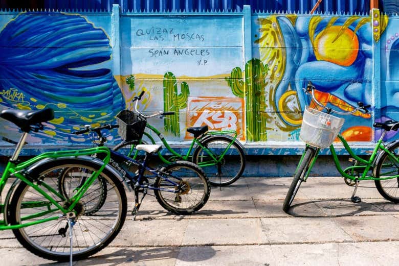 Bicicleta por Santiago