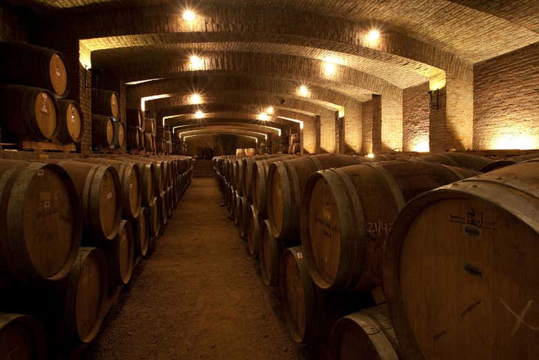 Discovering the Undurraga wine cellars