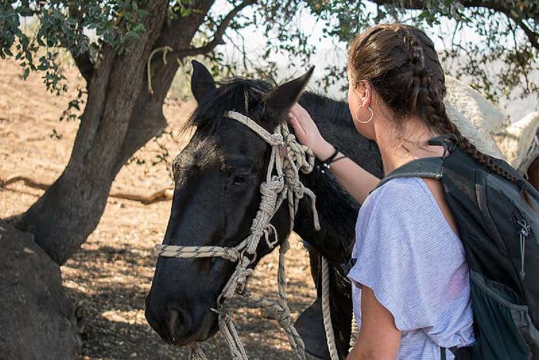 Montaréis a caballo por el cerro La Dehesa