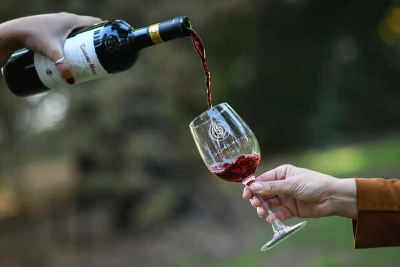 Probaremos distintos vinos de Cousiño Macul