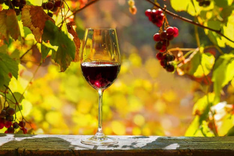 Una copa de vino y los campos de cultivo de fondo