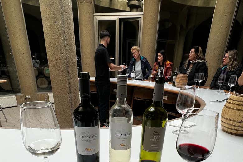 Grupo degustando os vinhos da Haras de Pirque