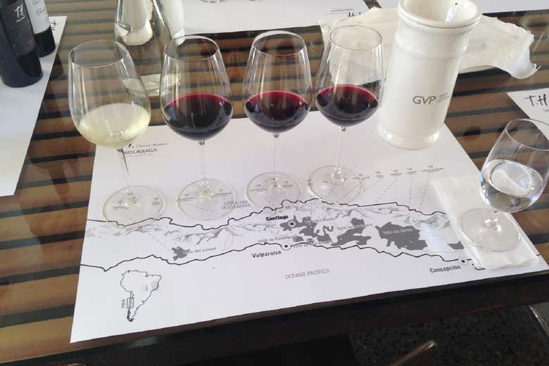 Chilean wine tasting at Undurraga Winery