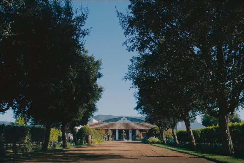 Casas del Bosque winery