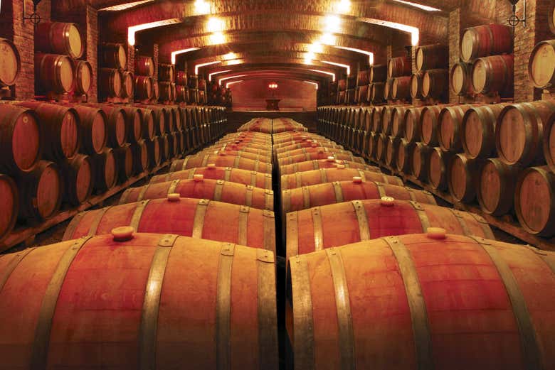 Trilha do Parque Tricao