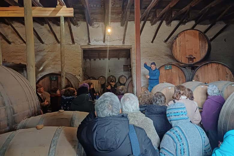 Ouvindo as explicações na vinha