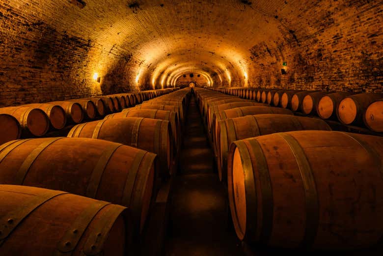 El interior de la bodega