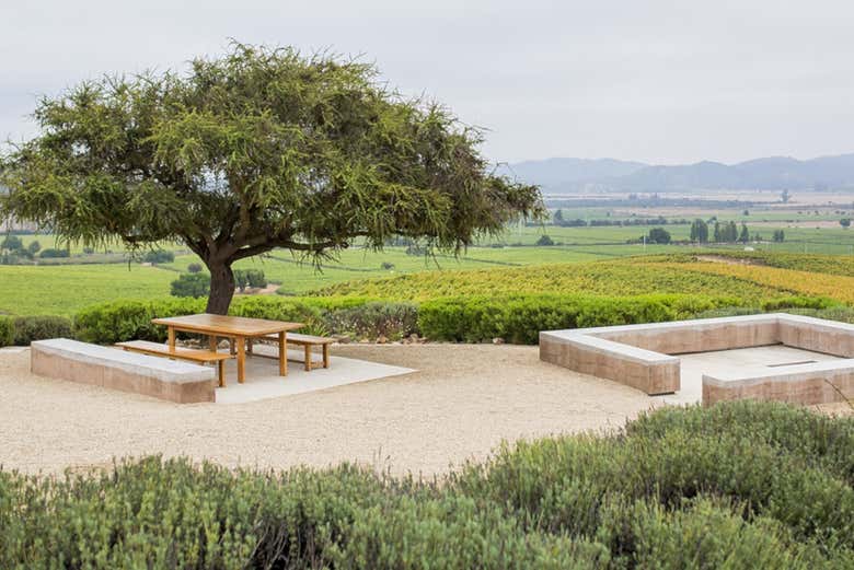 Beautiful landscapes at the Casas del Bosque winery