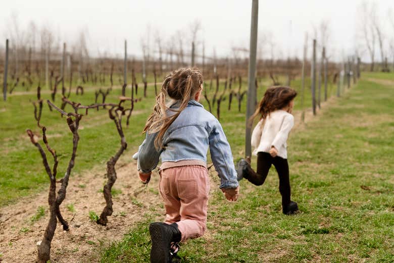 Los niños corriendo en la viña