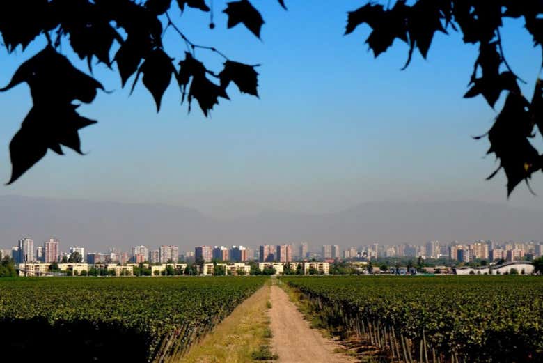 El paisaje con la ciudad de fondo