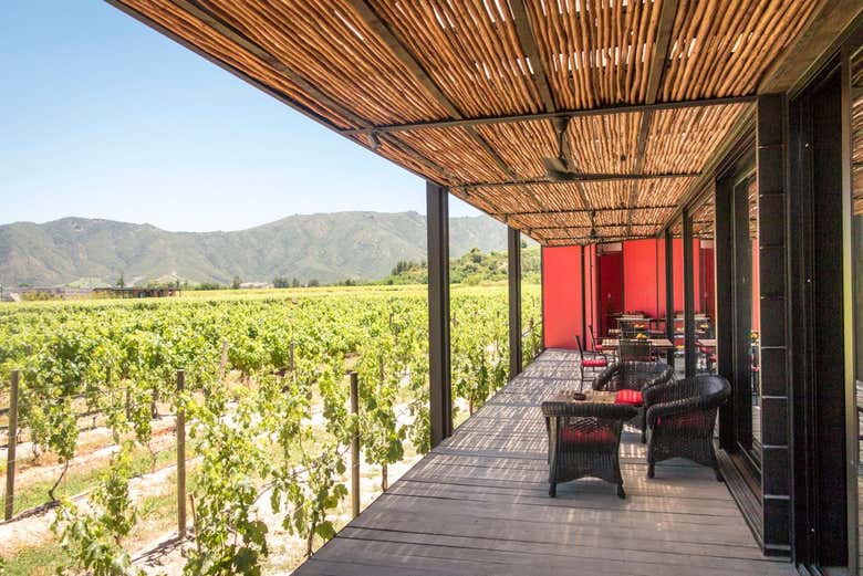 El paisaje del Valle de Colchagua