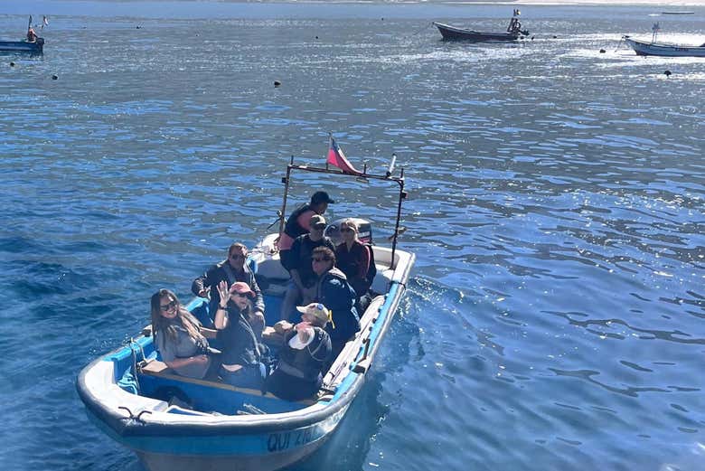 Paseo en barco por la costa de Papudo