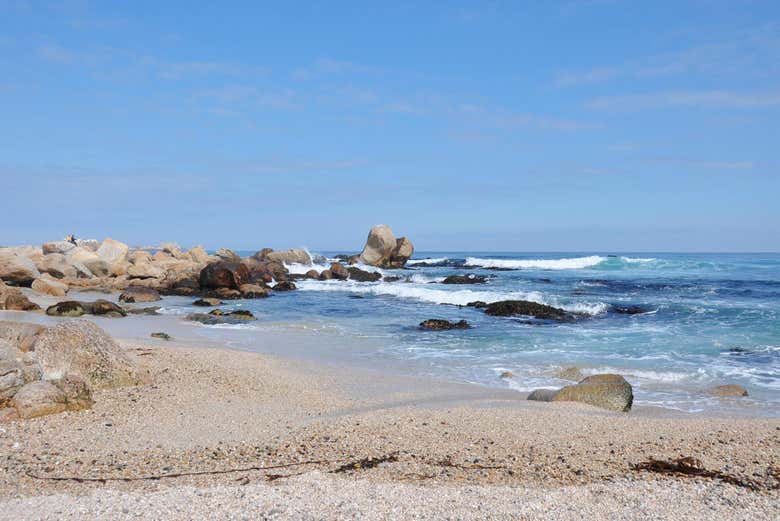 Praia em Isla Negra