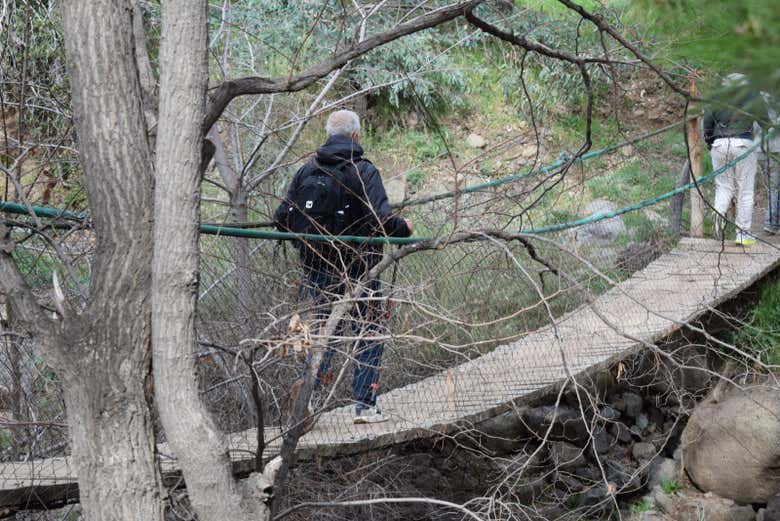 Atravesando puentes en el bosque 