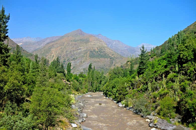 Recorriendo senderos rodeados de vegetación andina