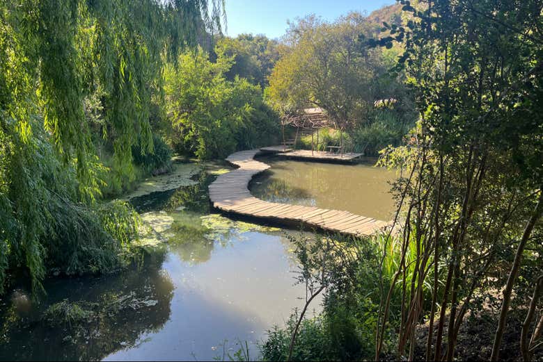 Lagoa do Parque Tricao