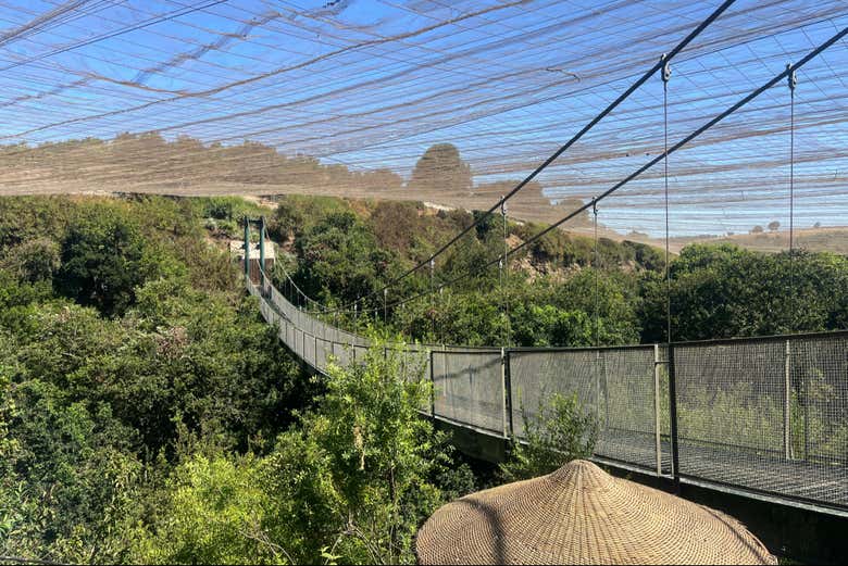 Puente colgante en el aviario de Parque Tricao
