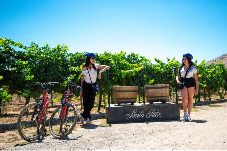 Bicicletas y fudres en Viña Santa Rita